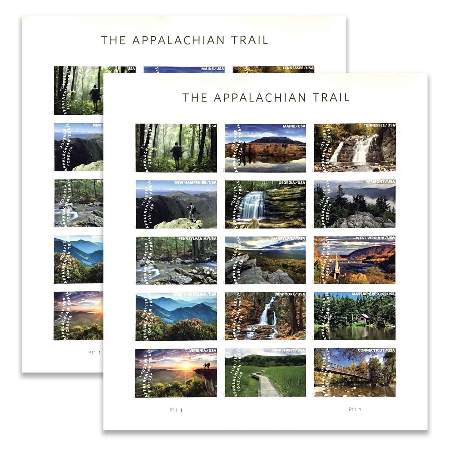 The Appalachian Trail