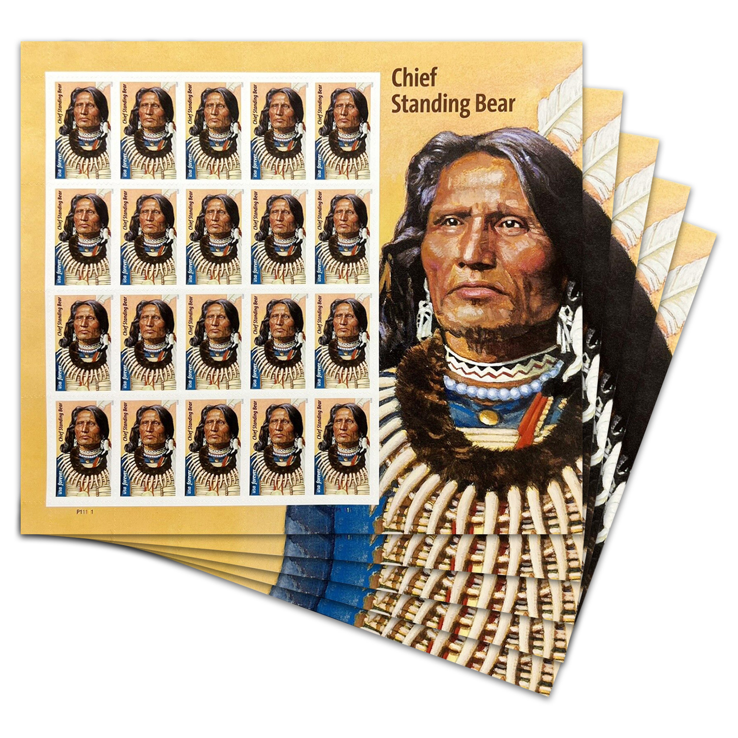 Chief Standing Bear