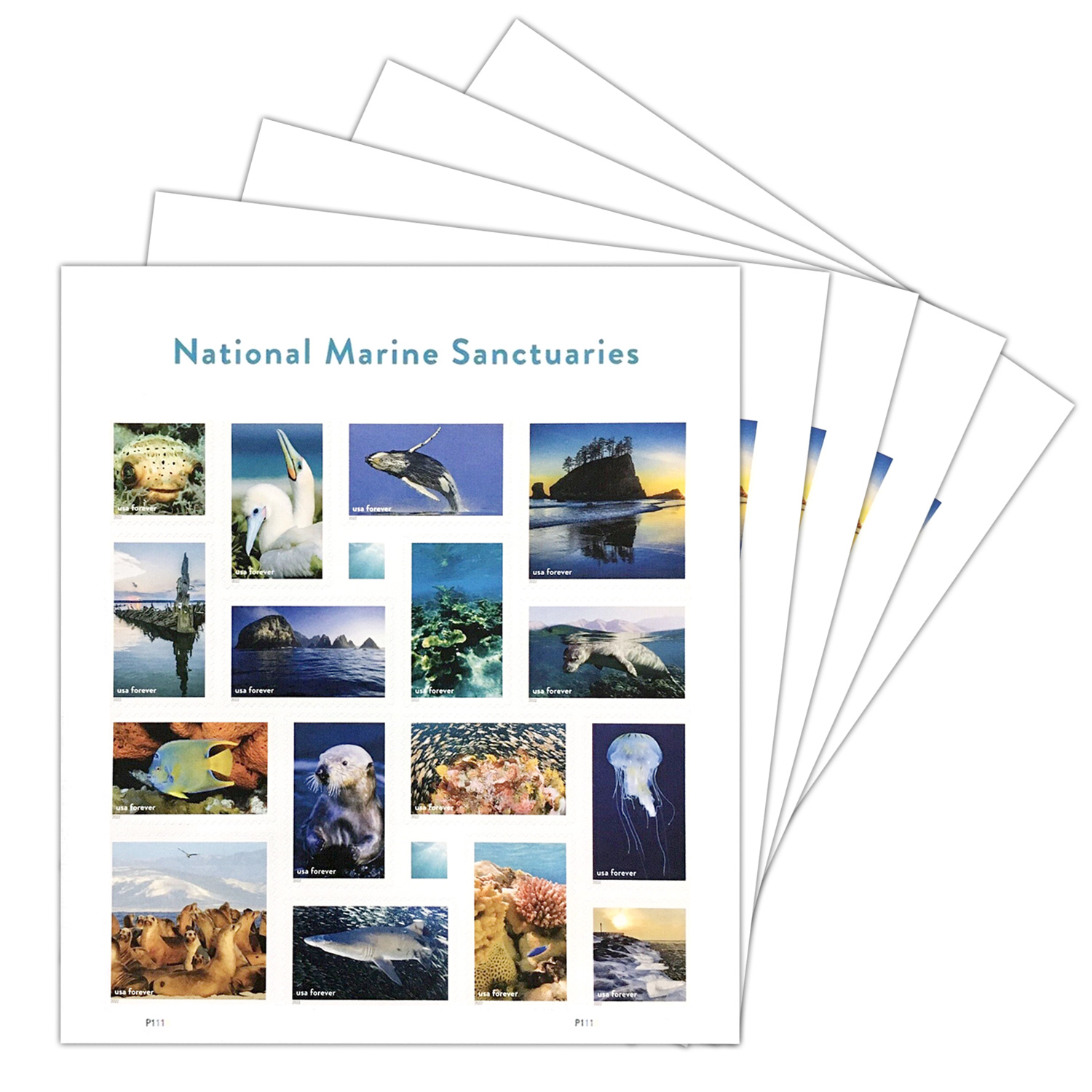 National Marine Sanctuaries
