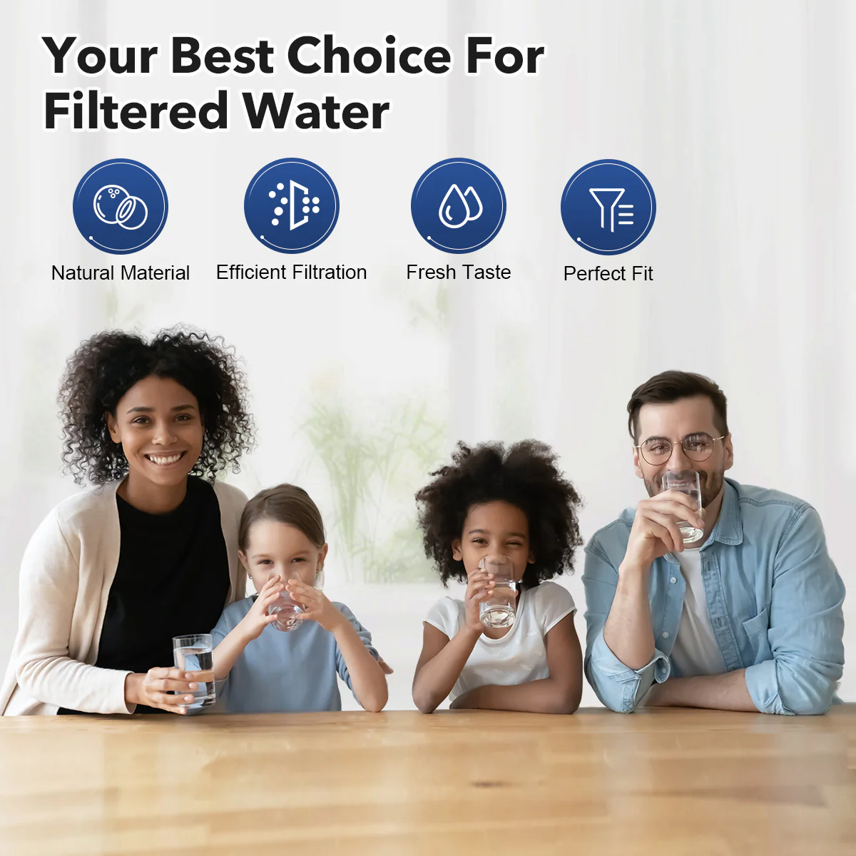 Purerdeep PD1 Compatible with EDR1RXD1, W10295370A, Refrigerator Water Filter 1 Whr1rxd1