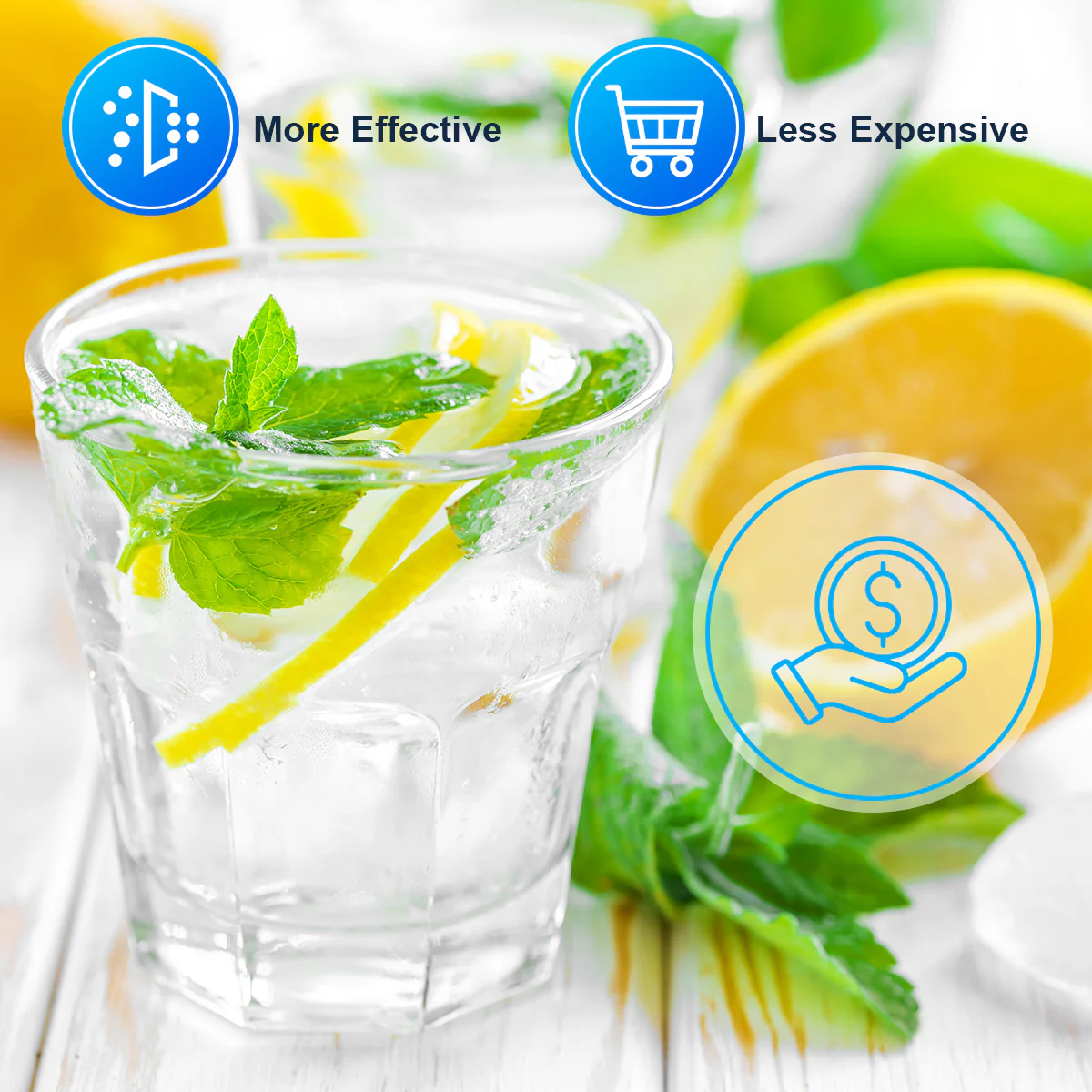 Purerdeep PD3 Compatible EDR3RXD1 Refrigerator Water Filter, 4396841, 4396710 Filter 3