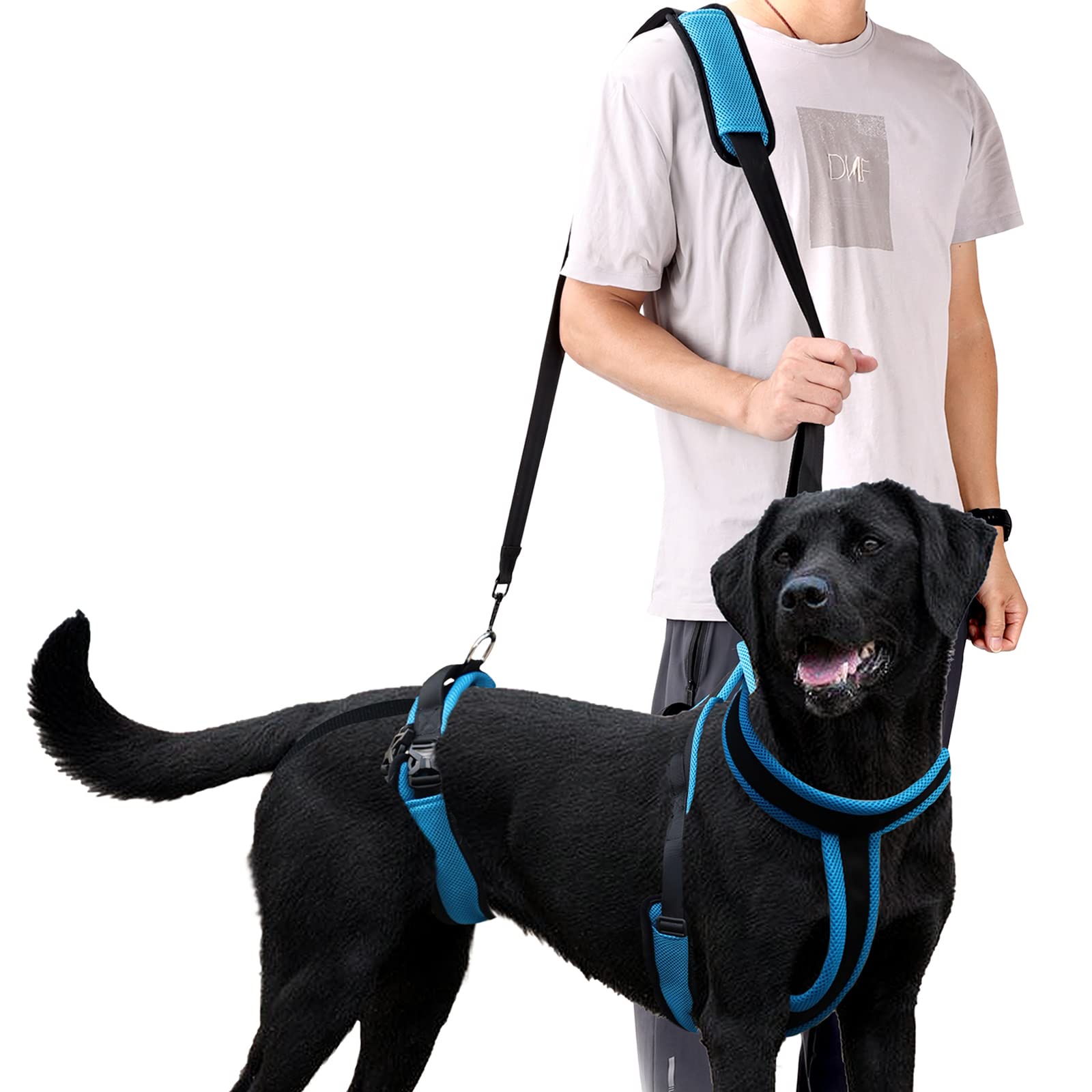 Dog Lifting Harness,Verstellbares Schulter-Hüft-Geschirr mit Griff und Schultergurt, Unterstützung der Hinterbeine für ältere Hunde, Hüftdysplasie-Größe L