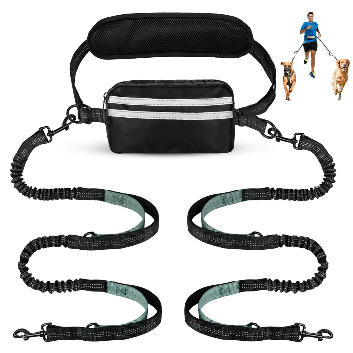 Hands Free Hundeleine mit Tasche, Doppel-Leine für zwei Hunde, einziehbarer Bungee mit doppelt gepolsterten Griffen für Hundespaziergänge Laufleine für Hunde, Grün