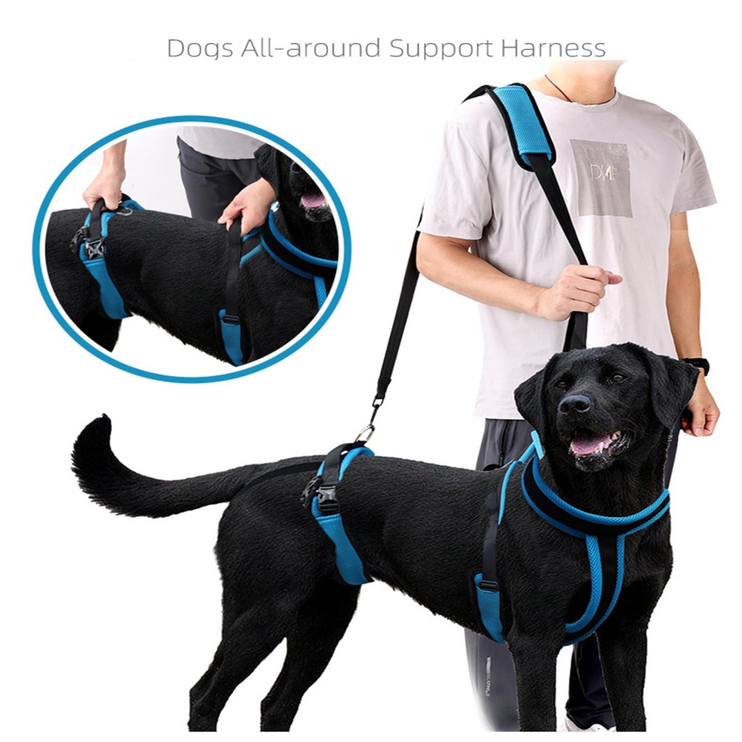 Dog Lifting Harness, Einstellbares Schulter- und Hüftgeschirr mit Griff und Schultergurt, Unterstützung der Hinterbeine für ältere Hunde, Hüftdysplasie-Größe S