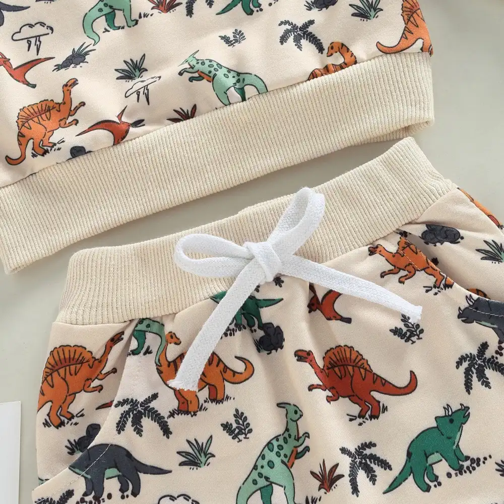 Boys Dinosaur Print Pullover Set