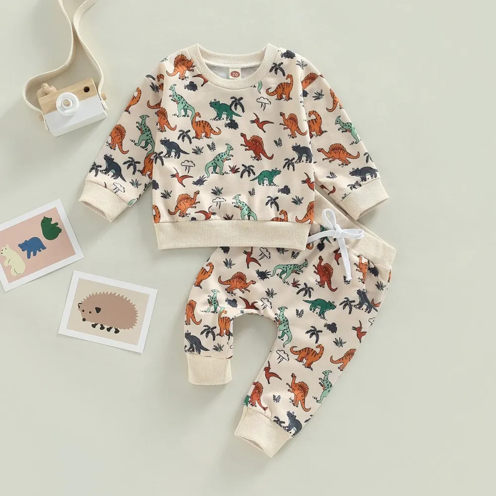 Boys Dinosaur Print Pullover Set