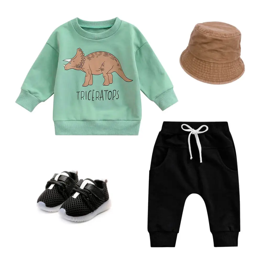 Triceratops Toddler Sweatshirt
