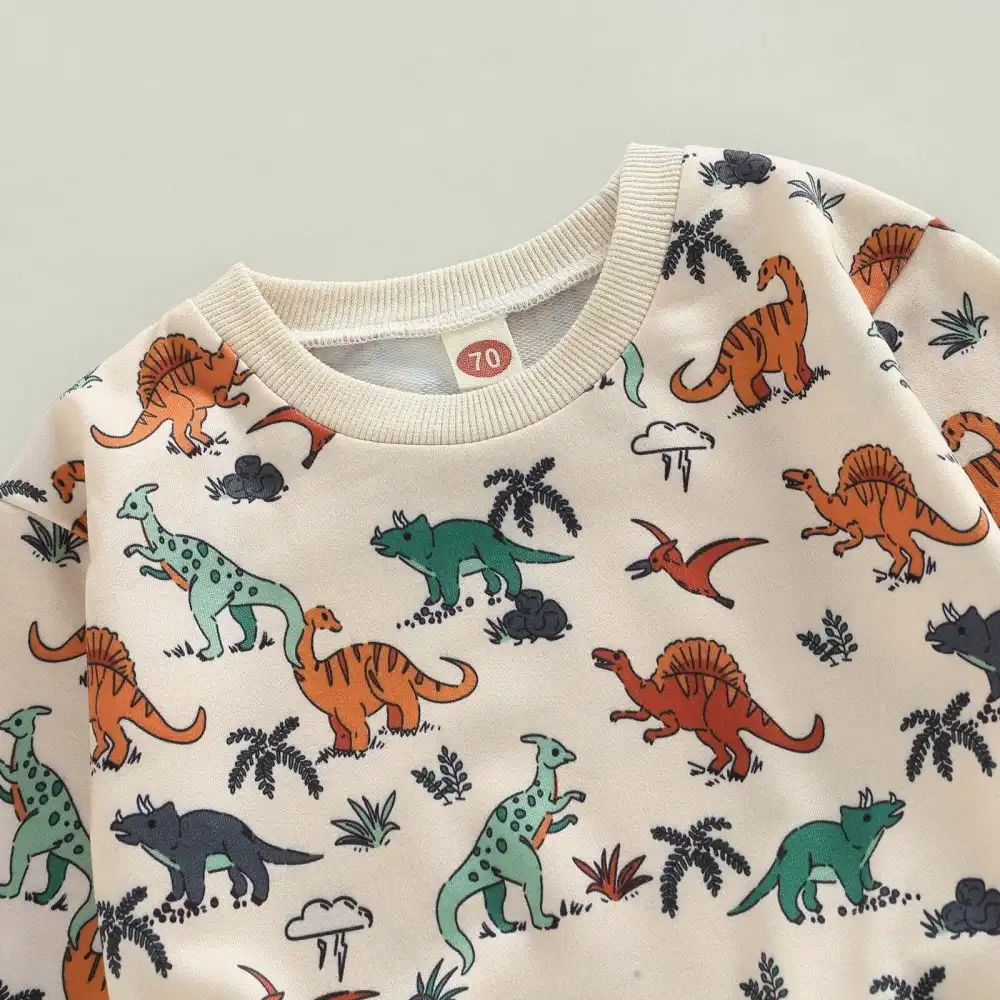 Boys Dinosaur Print Pullover Set