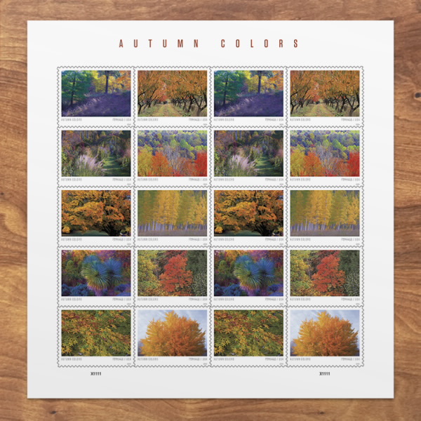 Autumn Colors