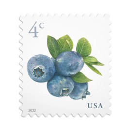 Blueberries