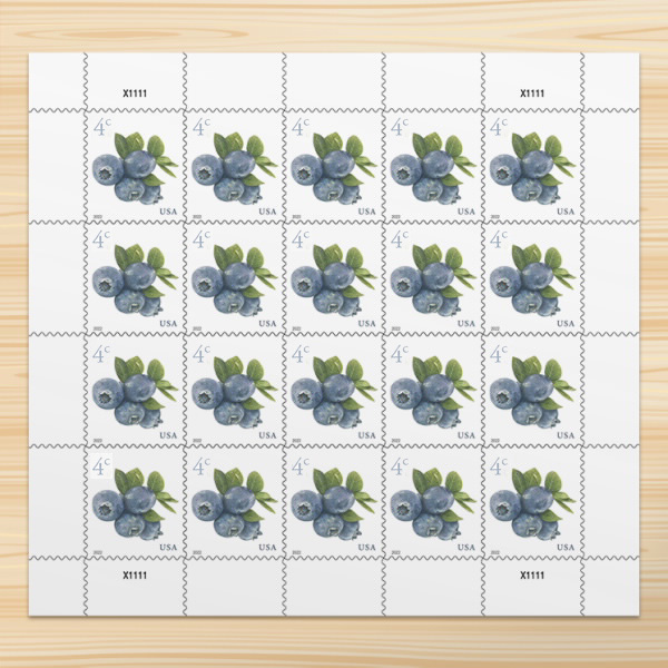 Blueberries