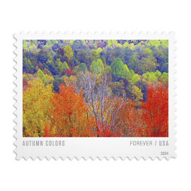 Autumn Colors