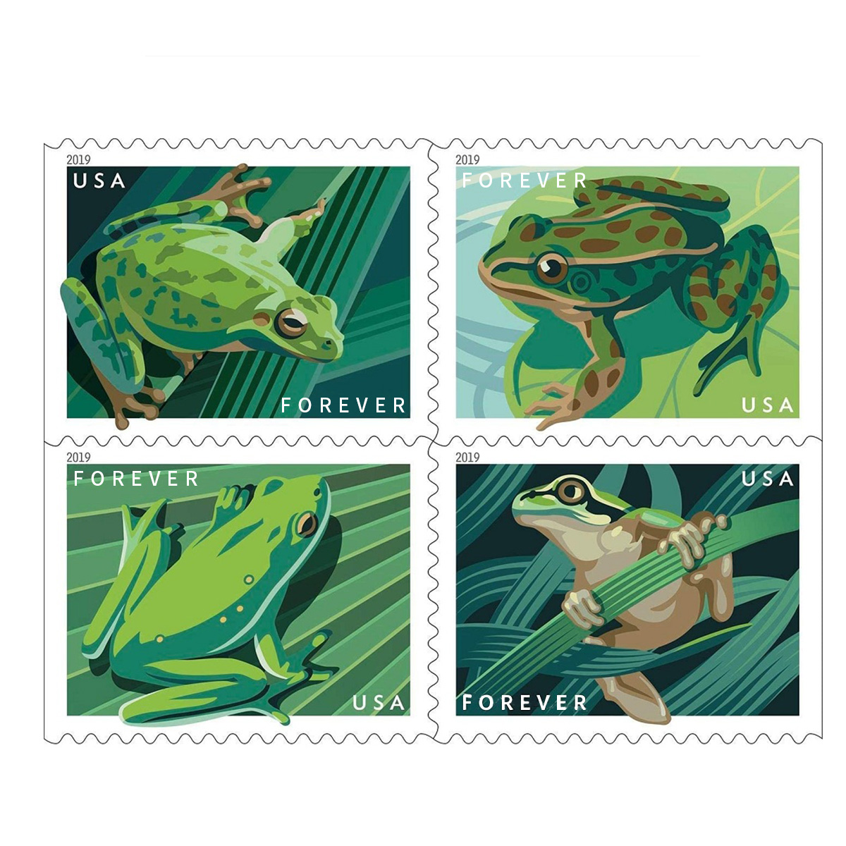 Frogs 2019
