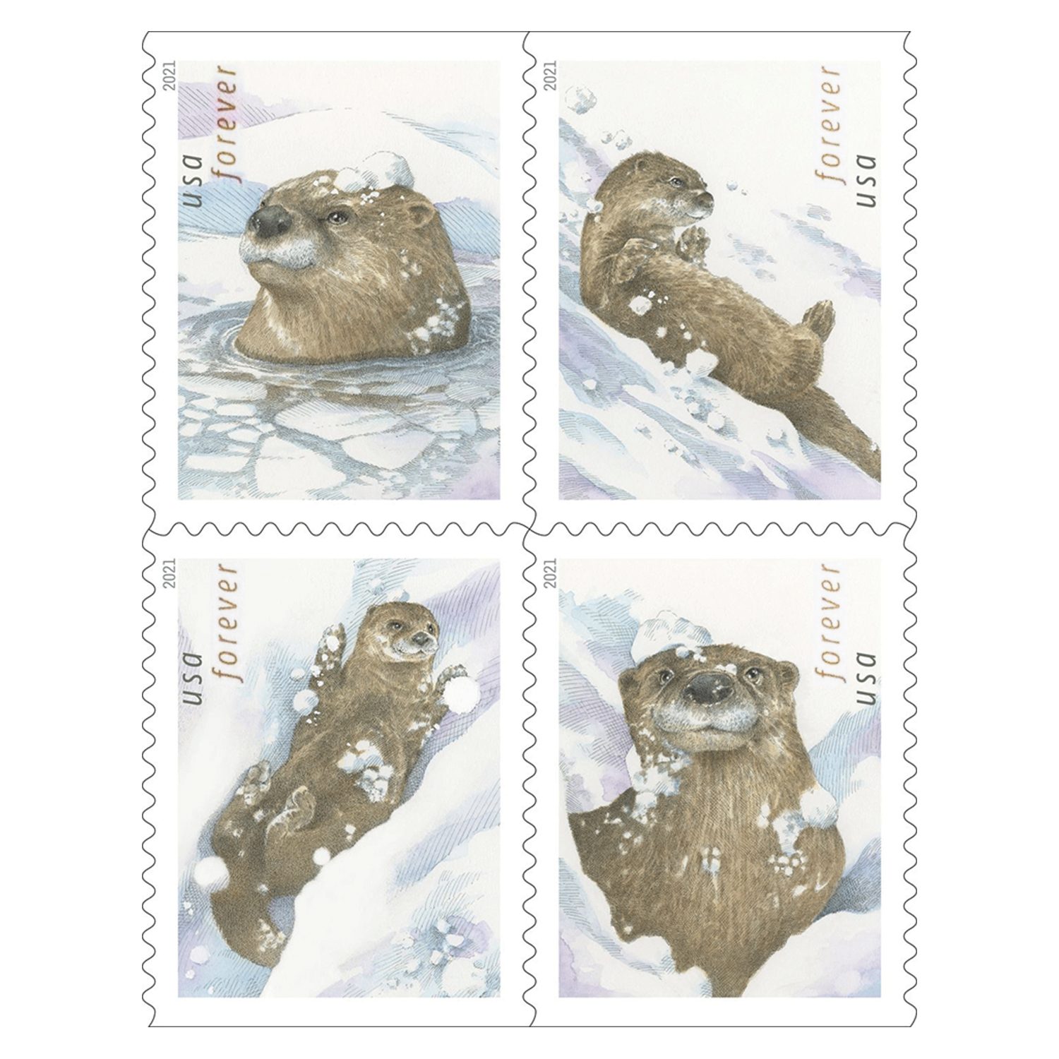 Otters in Snow 2021