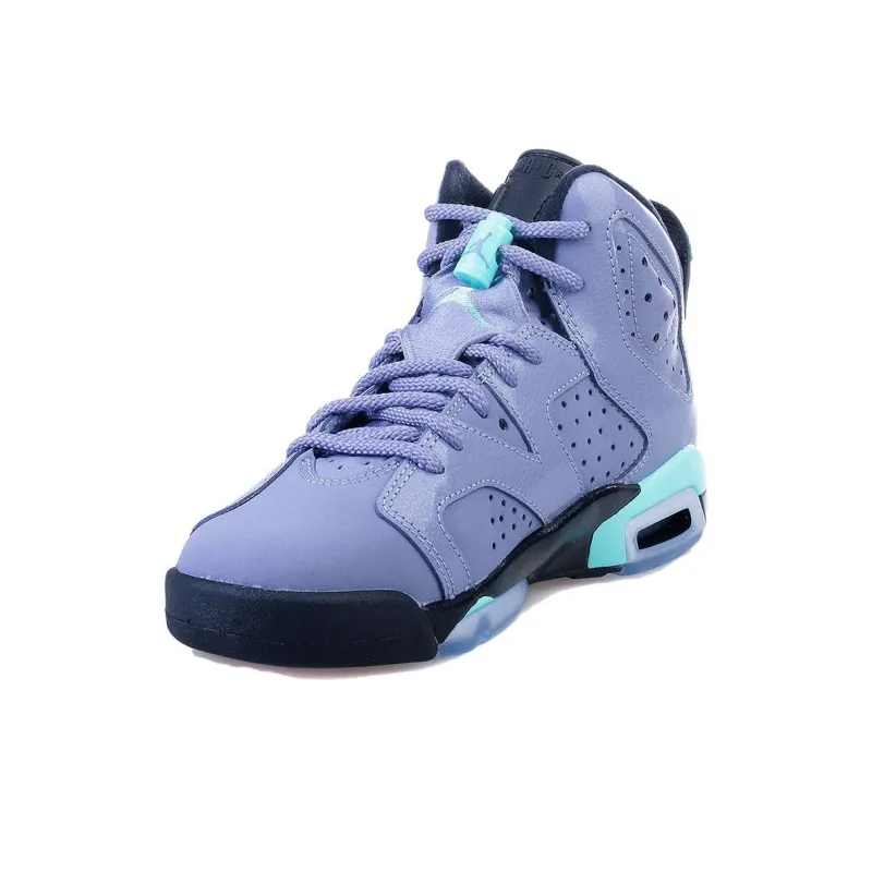 Air Jordan 6 Retro Iron Purple GS – 543390-508