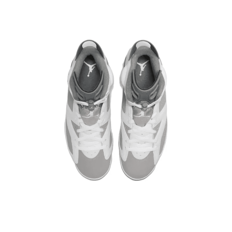 Air Jordan 6 ‘Cool Grey’ CT8529-100