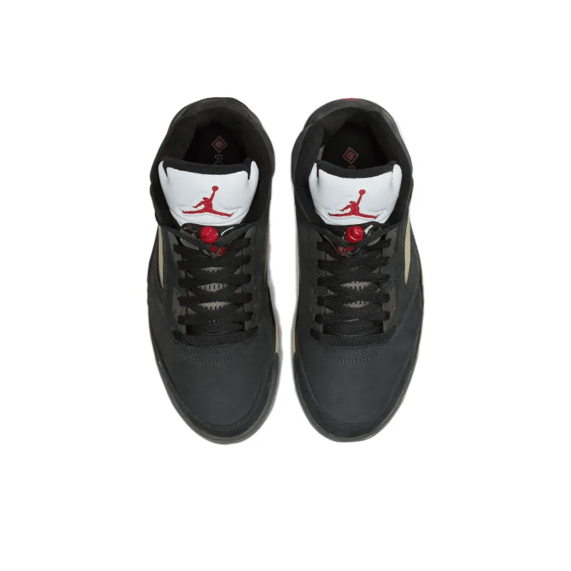 Air Jordan 5 Gore-Tex – DR0092-001