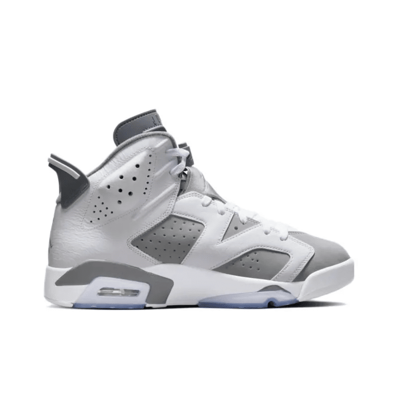 Air Jordan 6 ‘Cool Grey’ CT8529-100