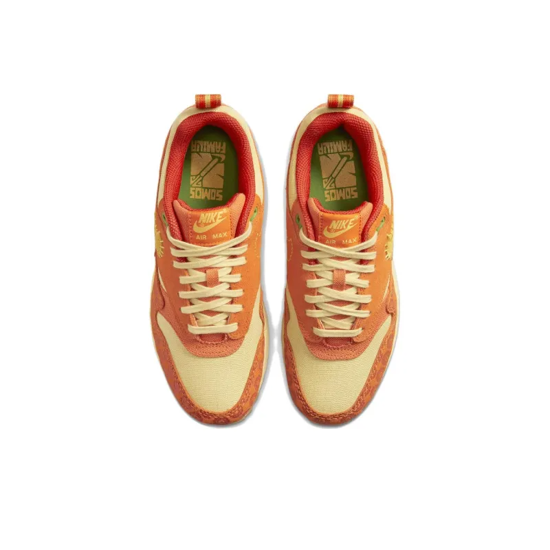 Air Max 1 PRM Somos Familia – DZ5352-847