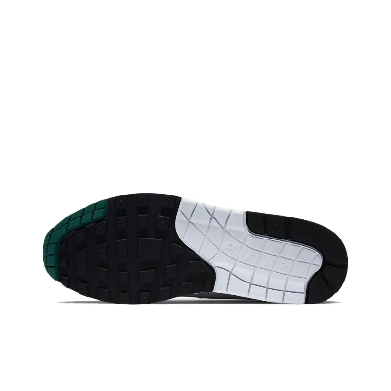 Air Max 1 Anniversary Green 2020 – Dc1454-100