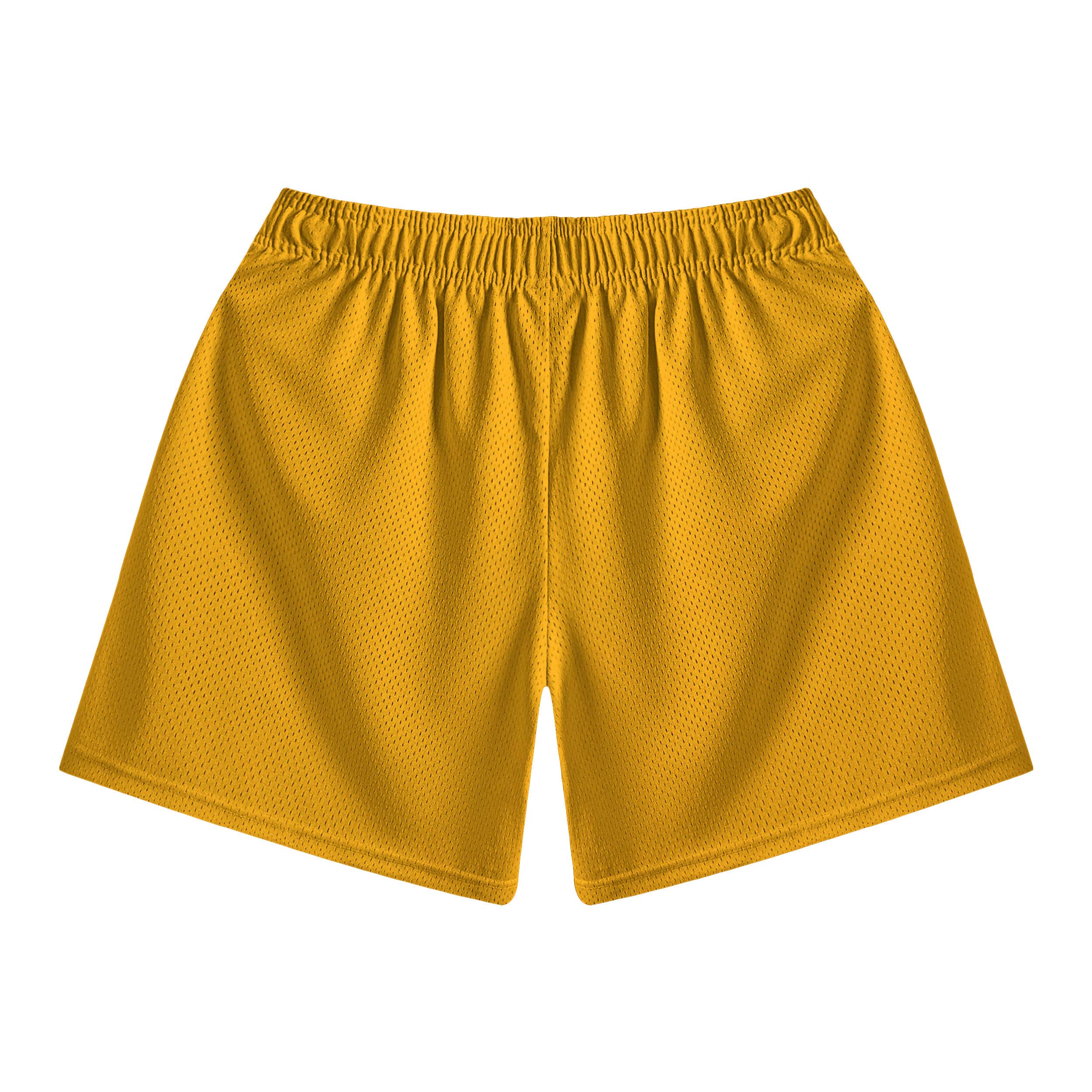 Tsukuyomi Blend Mesh shorts