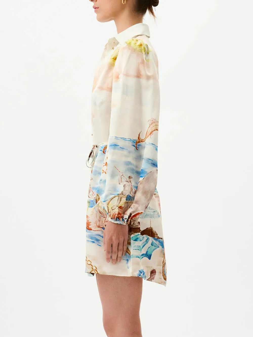 Stunning Unique Printed Mini Dress