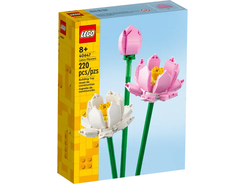 Lotus Flowers