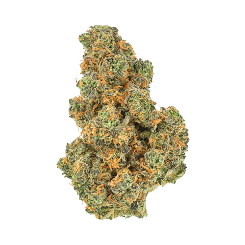 San Rafael '71 Pink Diesel