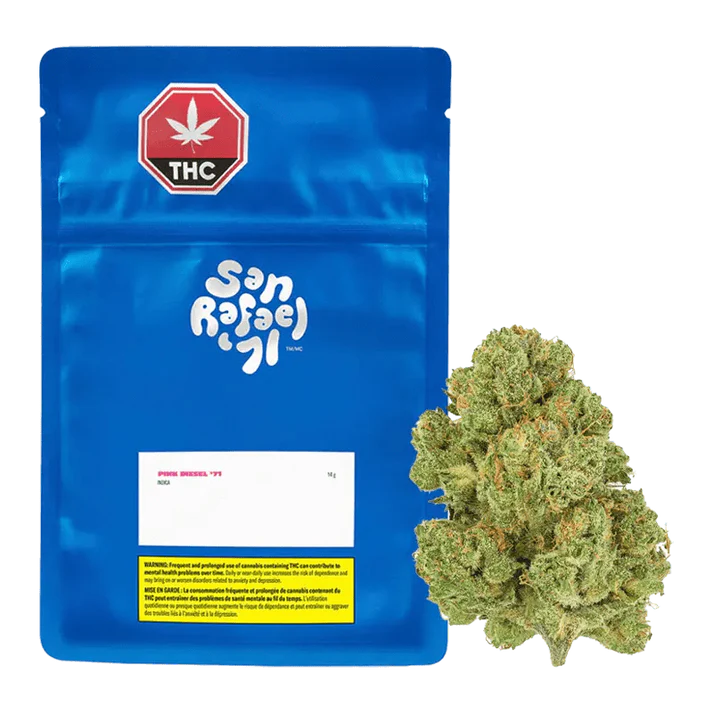 San Rafael '71 Pink Diesel