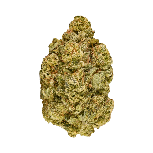 Good Supply Inzane In The Membrane