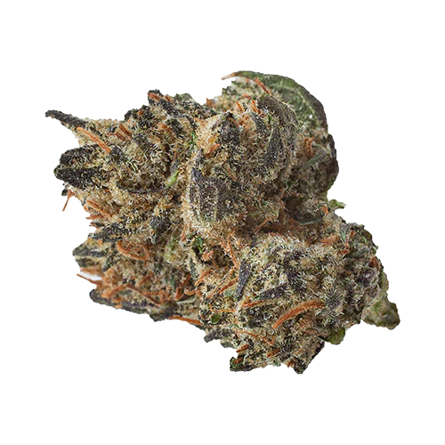 Robinsons Purple Kush