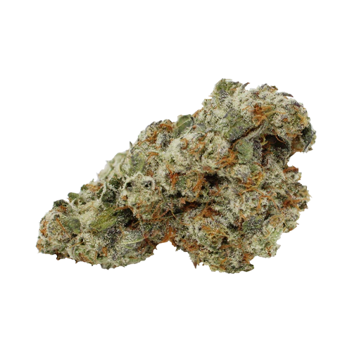 Pure Laine Special Haze