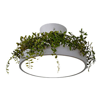 Giorno・リーフ 間接照明付 2WAY シーリングライト | 〜8畳・リモコン付