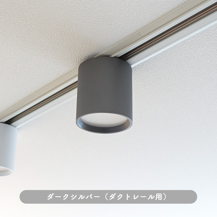 光色切替型ダウンライト ダクトレール用・100W相当｜ダークシルバー