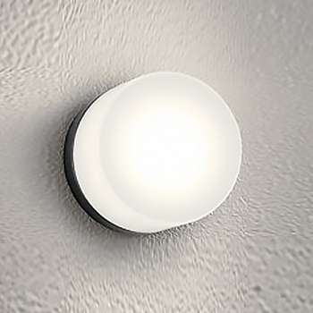 バスルームライト Φ125mm・60W相当｜ブラック