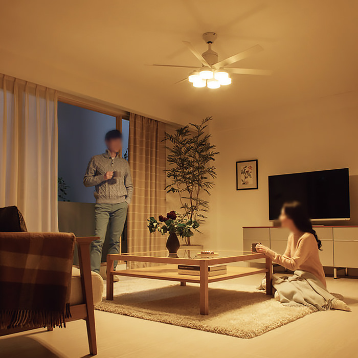 シーリングファンライト｜10畳・6枚羽根・DCモーター・傾斜対応・リモコン・ホワイト