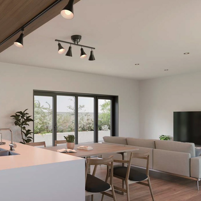 シーリングスポットライト・ブラック モダン・北欧 | リモコン付