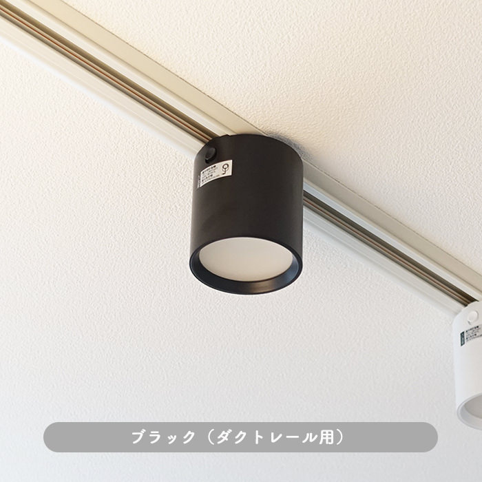 光色切替型ダウンライト ダクトレール用・100W相当｜ブラック