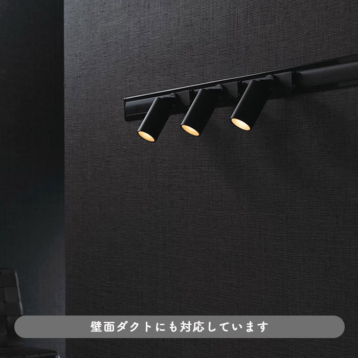 MINI-S スポットライト 調光調色・広角配光 JDR50W相当 | Bluetooth・ブラック