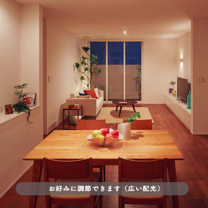 配光調整機能付きスポットライト 100形 電球色・ブラック | ダクトレール用