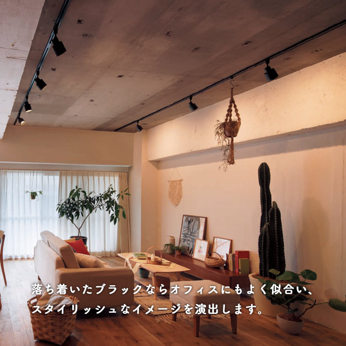 スポットライト・ダクトレール用 60W形相当 拡散光 | ブラック