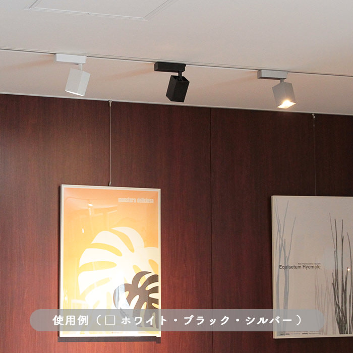 S60 調光機能付きスポットライト・100W相当 昼白色 | シルバー [生産終了]