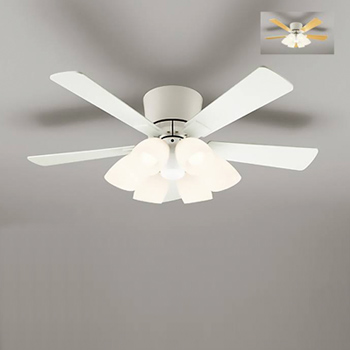 シーリングファンライト｜8畳・リバーシブル羽根・リモコン・ホワイト