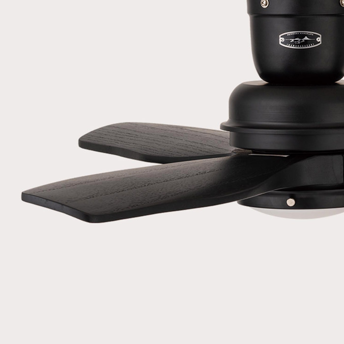 シーリングファンライト｜ブラック・リモコン・HERMOSA