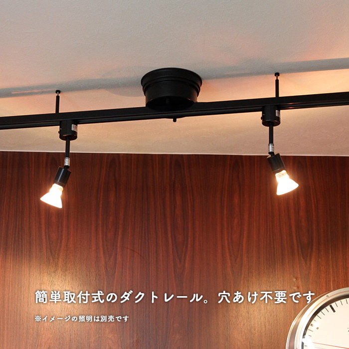 Swing duct 1100・ブラック｜ダクトレール