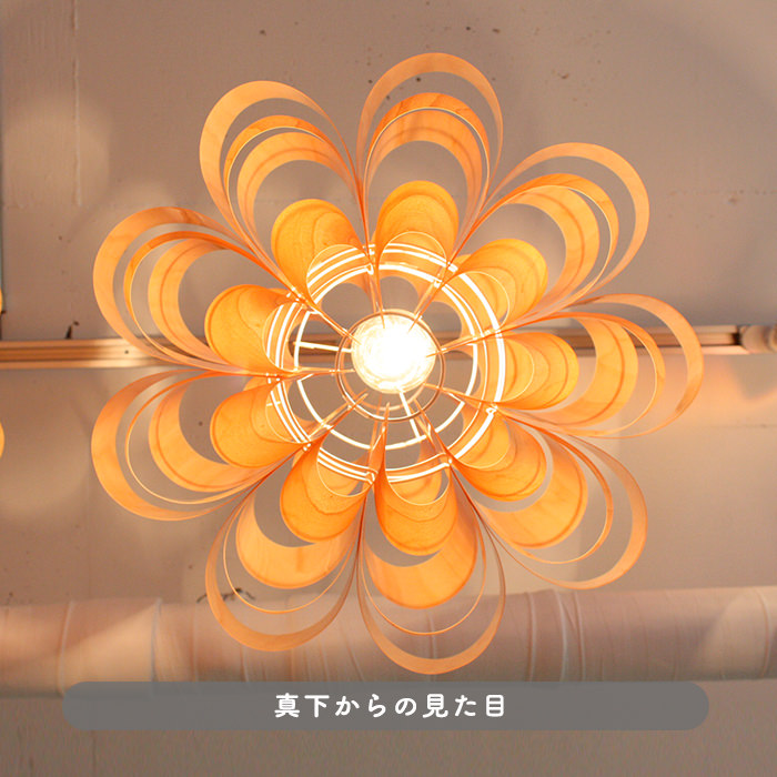 Don2-wood ペンダントライト・照明作家 谷俊幸