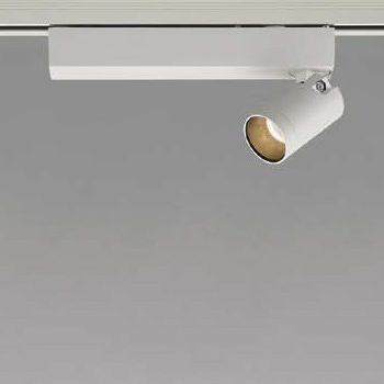 AML スポットライト 100W・広角｜ホワイト