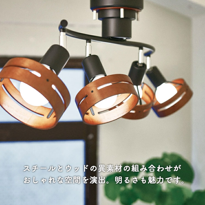 Ache・ブラック | シーリングスポットライト