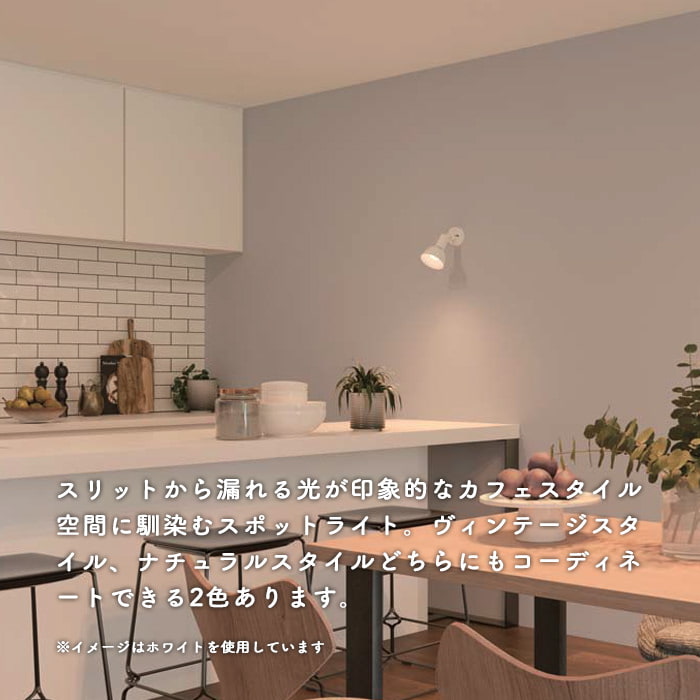 スポットライト・100W相当 | サテンブラック