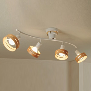 Ache・ホワイト | シーリングスポットライト